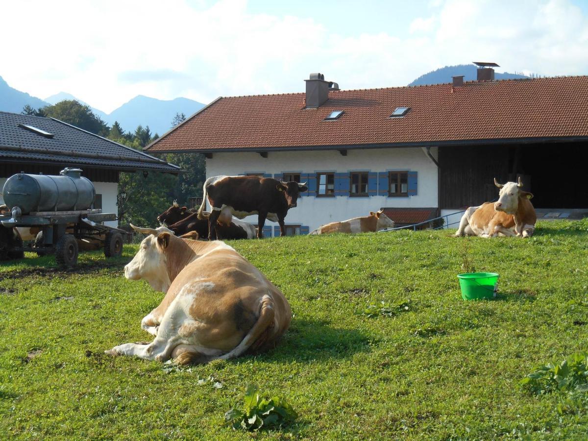 Bauernhof Matheishof Ruhpolding