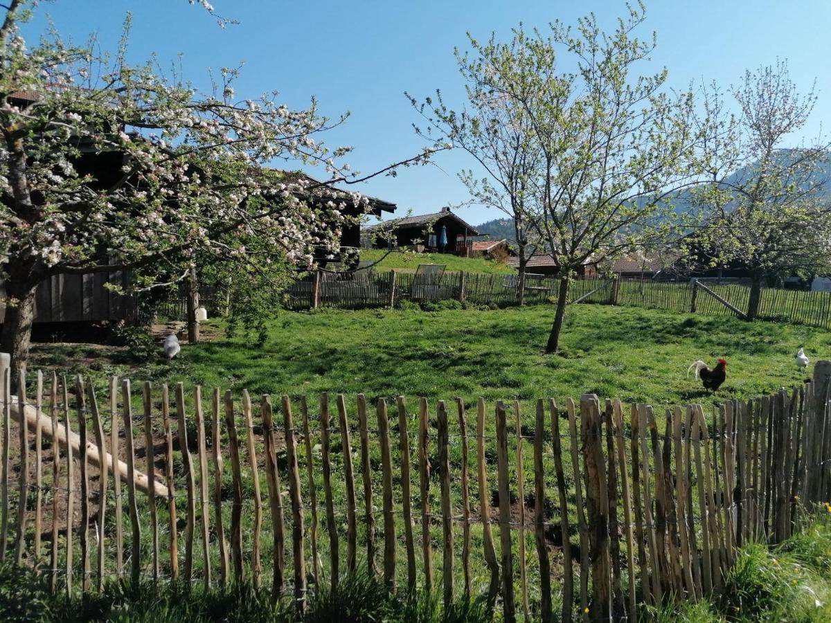 Bauernhof Matheishof Ruhpolding